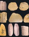 Ice age Native Americans 'were using dice to gamble'29