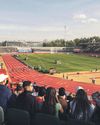 'It will rejuvenate everything': revival in the air at Crystal Palace42