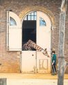 Poet ventures 'under the turnstile after dark' to mark Zoological Society of London's bicentenary3