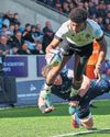 Caluori shows up Sale again with five-try repeat34