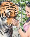 Germany’s ‘Tiger Queen’ investigated after police shoot big cat on the loose Germany’s ‘Tiger Queen’ investigated after police shoot big cat on the loose45