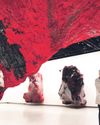 Art review Kapoor does mortality and God in this metaphysical rollercoaster24