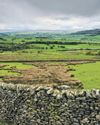Call of the wild Estate returns to nature with investment fund's help43