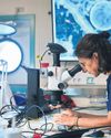 Deep discoveries: 31 new marine species found in two-week expedition31