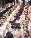 Waltz occurring? Rivals make pitch for Strauss legacy24