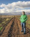 'The grapes won't wait': Lebanese winemakers' future in balance as conflict rages23