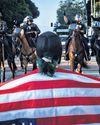 'The fascists have tried to occupy our area': how Trump's raids unleashed a firestorm16