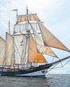 In Darwin's slipstream20