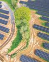 Kingly reception for green power as oil prices surge47