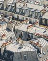 Zinc-fried steak frites? Paris heatwave sends rooftop temperatures to 80C19