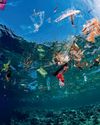 Seas the day Oceans at risk have crucial moment at UN summit Seas the day Oceans at risk have crucial moment at UN summit