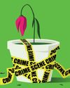 Can eco-crimes be called murder? Why we should look at damage to the environment as seriously as we take serial killers The Guardian Weekly
