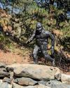 Feet first? ‘Sightings’ rekindle the legend of the sasquatch Feet first? ‘Sightings’ rekindle the legend of the sasquatch14