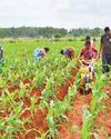 AgriTech Solutions collaborates with Basix to boost farmer incomes