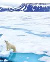 It's Not Only Temperature, Arctic Is Also Warming Up Geopolitically41