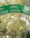 NGT Flags Health Hazards From Feeding Pigeons
