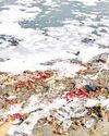 SC Stays NGT Order Imposing Fine on DJB MCD61