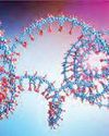 Study documents genome sequencing completed in just four hours59