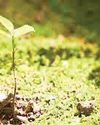 NBA releases Rs 1.36 crore to empower conservation in Maha,UP NBA releases Rs 1.36 crore to empower conservation in Maha,UP61