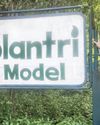 PIPLANTRI: ECO-FEMINIST RAJASTHAN STORY SHINES IN IFFI SPOTLIGHT42