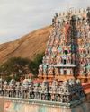 The DMK needs to be censured The DMK needs to be censured29