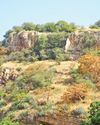The Aravalli situation: When the hills become negotiable59