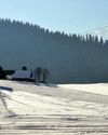 SNOWFALL FUELS TOURISM REVIVAL IN KASHMIR17