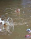 Six dead, 200 hospitalised over water contamination44
