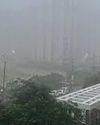 Delhi experiences fog, erratic rain, cool weather in May, mercury dips