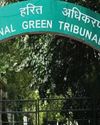 'NGT ISSUES NOTICE TO CENTRE ON 'TREE FELLING'