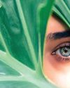 Nutraceuticals and Glaucoma: Enhancing eye health beyond conventional treatments