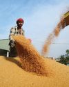 Foodgrain output rises to all-time high of 332.2 MT