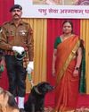 Army gifts 12 retired dogs to Asha Schools