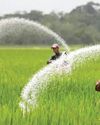 Farmers Will Continue To Get DAP At Rs 1,350 Per 50 Kg