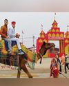 Maha Kumbh 2025: Rides on camels from Rajasthan attract visitors at Prayagraj's Sangam