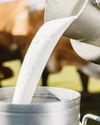 ED raids nine places in MP over supply of adulterated milk products in India, abroad