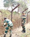 BSF Apprehends Four Bangladeshi Nationals Crossing Border in Meghalaya