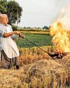 Haryana Takes Steps to Help Farmers Amid Crop Fires, Punjab Yet to Act15