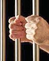 Gangster case: 3 brothers get 7-year jail term in UP Gangster case: 3 brothers get 7-year jail term in UP