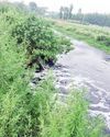 Top Haryana Officials Review Yamuna Catchment Projects to Curb Pollution15