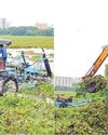 Nearly 1500 Tonnes of Water Hyacinth Removed from Powai Lake
