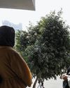 US travel ban adds to uncertainty for thousands of Afghan immigrants US travel ban adds to uncertainty for thousands of Afghan immigrants