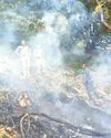 Seven Kedarnath Pilgrims Die as Chopper Crashes Near Shrine5