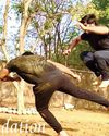 Vedic Martial Arts88