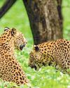 Amba Bagh Safari: Exploring the wild side of Jaipur56