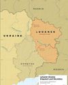 Russia Claims Control Over Luhansk as US Halts Weapons Promised to Ukraine67