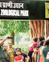 Delhi Zoo's Monsoon Measures: Infra Fixes, Herbal Solutions30