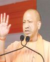 'Ek Ped Maa Ke Naam': 50 crore saplings to be planted, says UP CM36