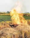 CAQM orders Punjab, Haryana to control stubble burning before Kharif harvest15