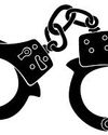 Stats Say Much Success in Reining in Organised Crime in Haryana2